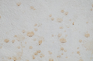 White walls