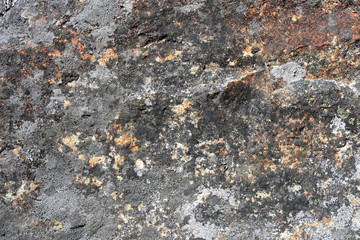 Abstract Background Of Rock Surface Covered By Lichens.