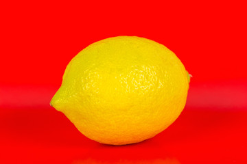 One ripe lemon on red background