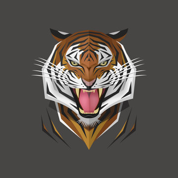 Tiger head, Vector illustration