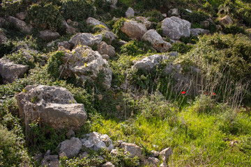 Fototapeta na wymiar mountains covered with grass