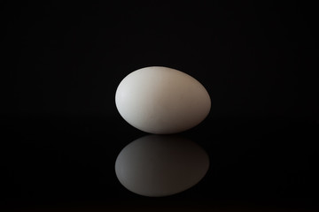 White egg agains a black background with reflection