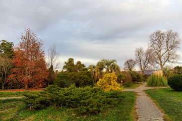 Fototapeta na wymiar southern park in autumn