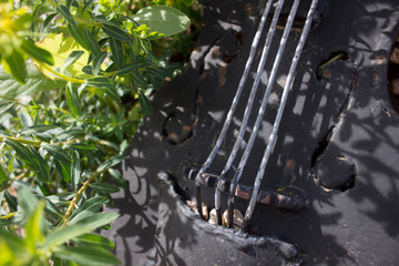 iron violin in the leaves