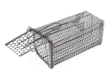 Cage Rat Trap on white background