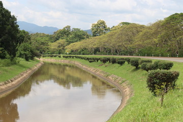 Fototapeta na wymiar Agricultural canal