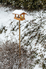 simple bird feeder