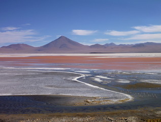 laguna colorada in bolivian altiplano with flamingos