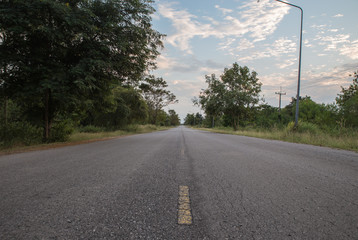 road in forest