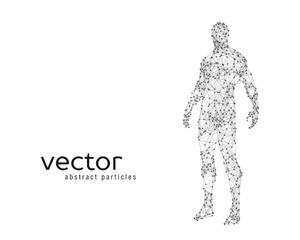 Fototapeta na wymiar Vector illustration of human body
