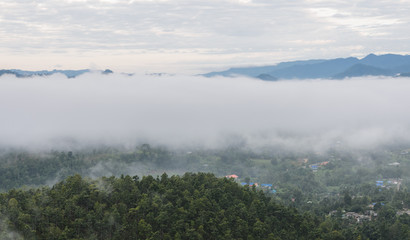 Landscape mountain with sea of fog