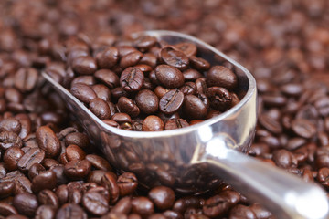 coffee beans
