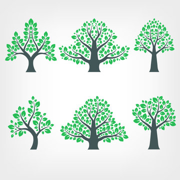 Vector Collection of Tree Silhouettes