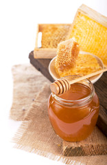 Honey Lemon viburnum