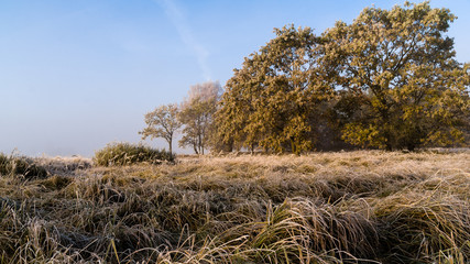 Jesienny poranek © podlaski49