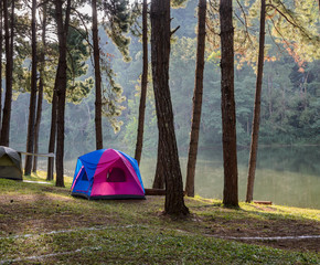 Camping tents in pine tree forest near lake at Pang Oung national park in Mae Hong Son, Thailand