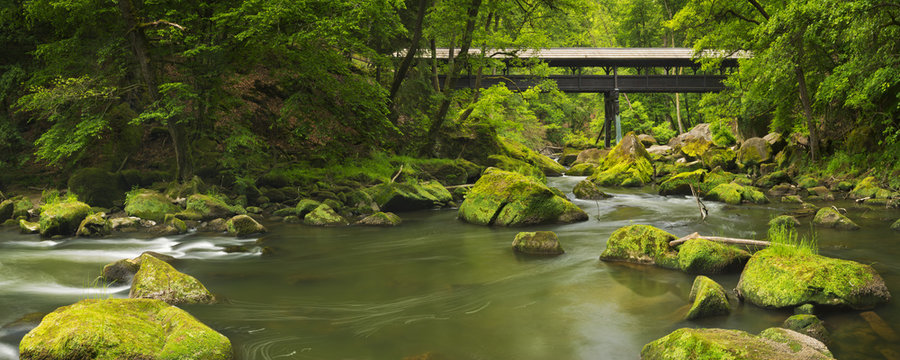 River with a covered bridge in a lush green forest