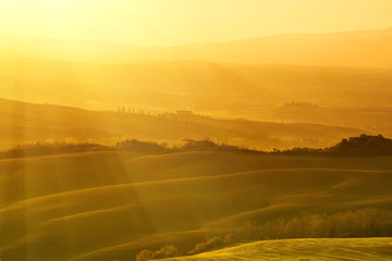 Wavy fields in Tuscany at sunrise, Italy. Natural outdoor seasonal autumn background with sun shining