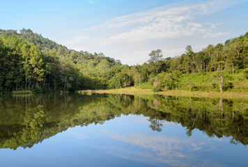Fototapeta na wymiar Scenic view of pine tree with lake. Pang Oung, a serene lake in a valley with surrounded by mountain ranges in Mae Hong Son, Thailand