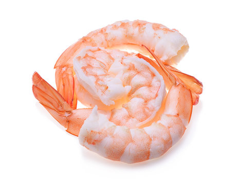 shrimps isolated on  white background
