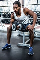 Fototapeta na wymiar Muscular man exercising with dumbbells 