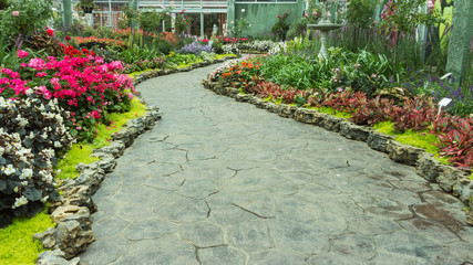 Pathway with gardening blooms