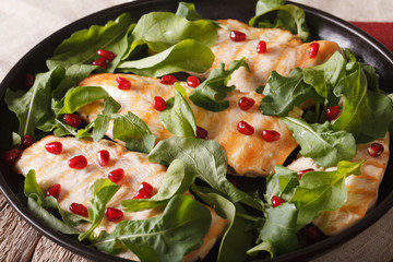 Grilled chicken breast with arugula and pomegranate closeup. horizontal

