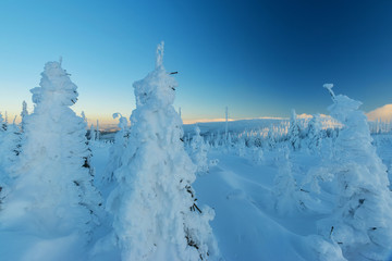 Fototapeta na wymiar Winterlicher Panoramablick im bayerischen Wald