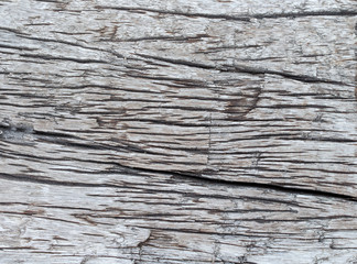 wood texture. background old panels