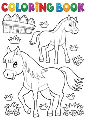 Fototapeta na wymiar Coloring book horse with foal theme 1
