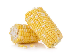corn on white background