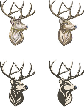Deer, deer drawing, portrait, vector, illustration, color, silhouette