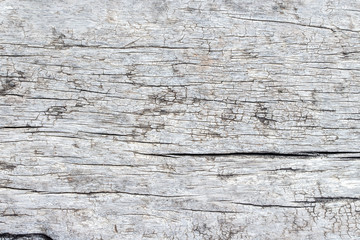 Plakat wood texture. background old panels