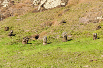 Moai statues in Rano Raraku Volcano, Easter Island, Chile