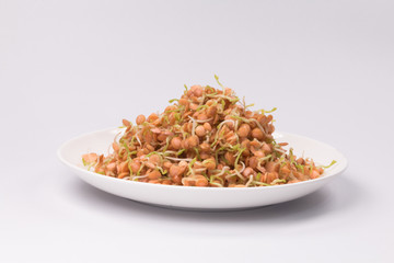 healthy food, sprouts red lentil on white