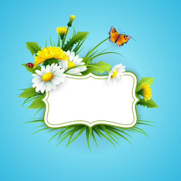 Fresh spring background with grass, dandelions and daisies