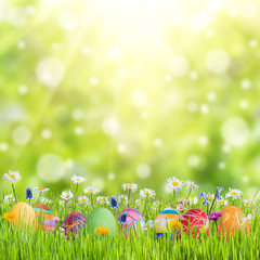 Obraz na płótnie Canvas Easter Background with Eggs and Flowers