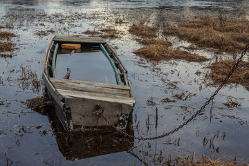 Submerged boat in a swamp