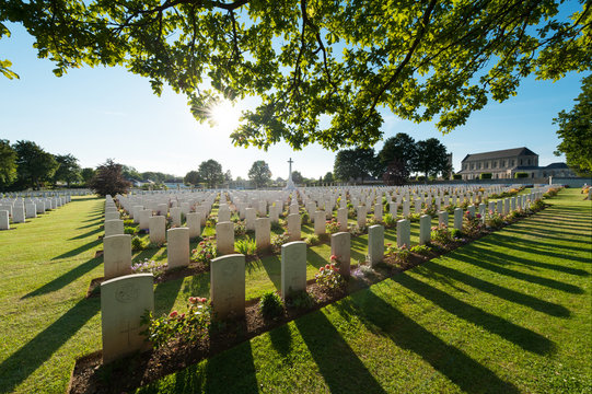 Les tombes d'un cimetière britannique à Ranville, Normandie, France au grand angle en contre-jour avec des branches d'arbres au premier plan.