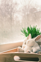 Grass in a pot grown and a toy bunny on the windowsill. Waiting