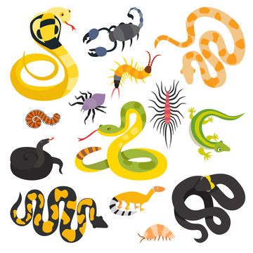 Vector flat snakes collection isolted on shite background
