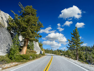 Beautiful road in USA Yosemite national park road trip