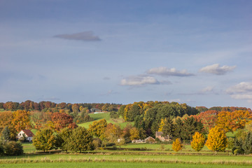 Fototapeta na wymiar Vibrant autumn colors in Groesbeek