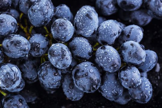 Fototapeta Ripe bunch of  blue grapes closeup with shining water drops