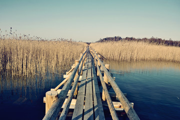 Swamp Of Kanieris in Latvia