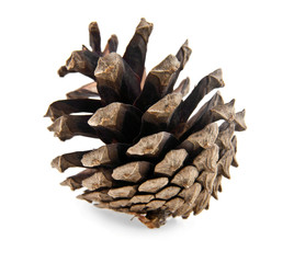 cones