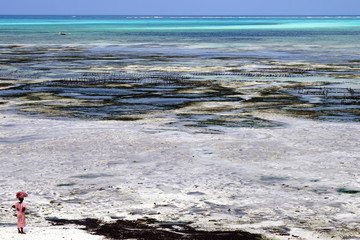 Zanzibar is a semi-autonomous part of Tanzania in East Africa