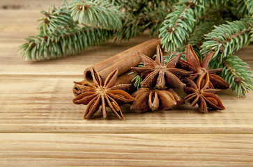 spices and branch of Christmas tree