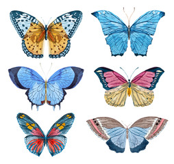 Fototapeta na wymiar Watercolor vector butterflies