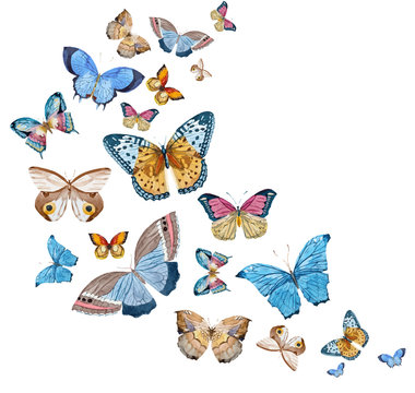 Watercolor vector butterflies
